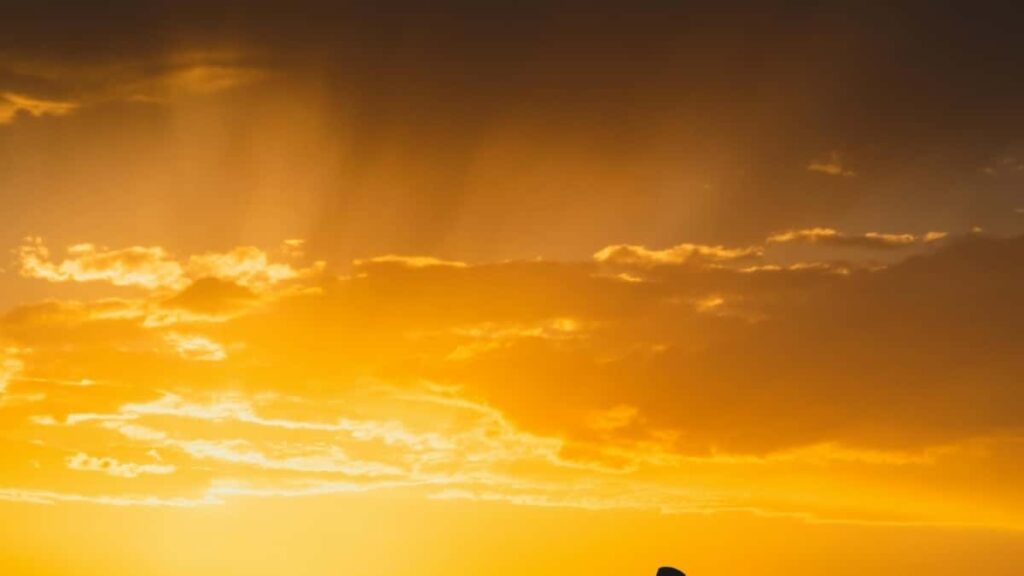 Tarifa Publicitaria Snapchat Portugal 2025 para Colombia