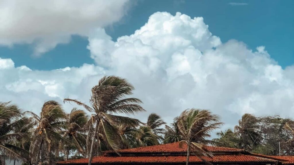 Aprende a negociar ofertas de bundles de contenido en Telegram, con insights de Suecia para creadores en Colombia.