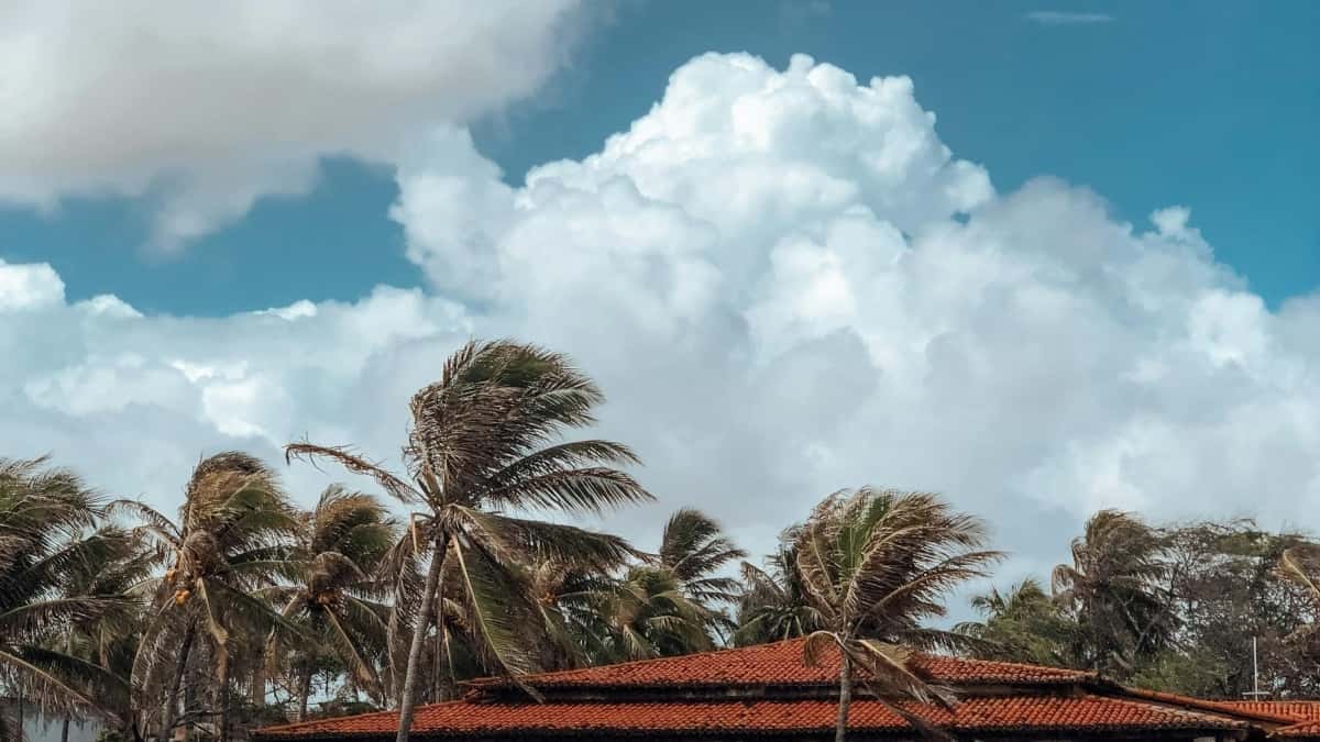 Creadores en Colombia: Cómo negociar ofertas de bundles de contenido con Telegram desde Suecia