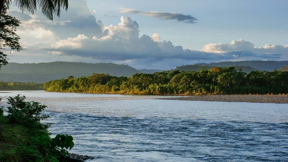 Creadores en Colombia: Cómo Takatak y Promos Cruzadas en Argelia Están Cambiando el Juego