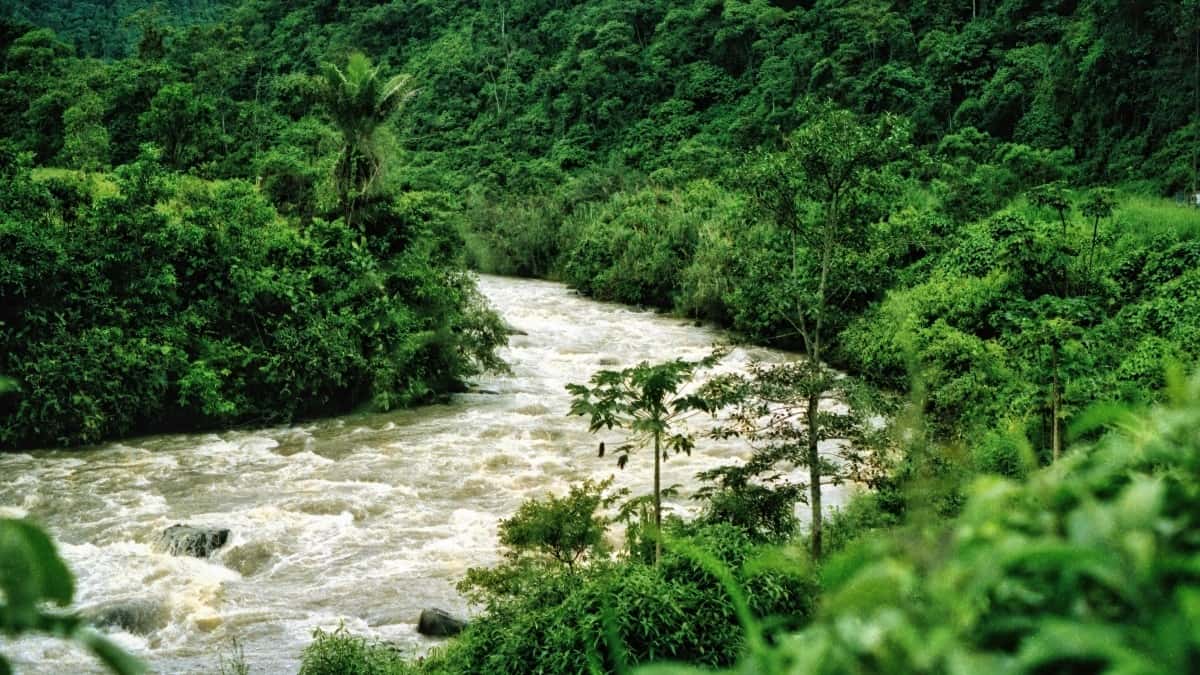 Creadores: contactar marcas Bosnia en Douyin y cerrar packs