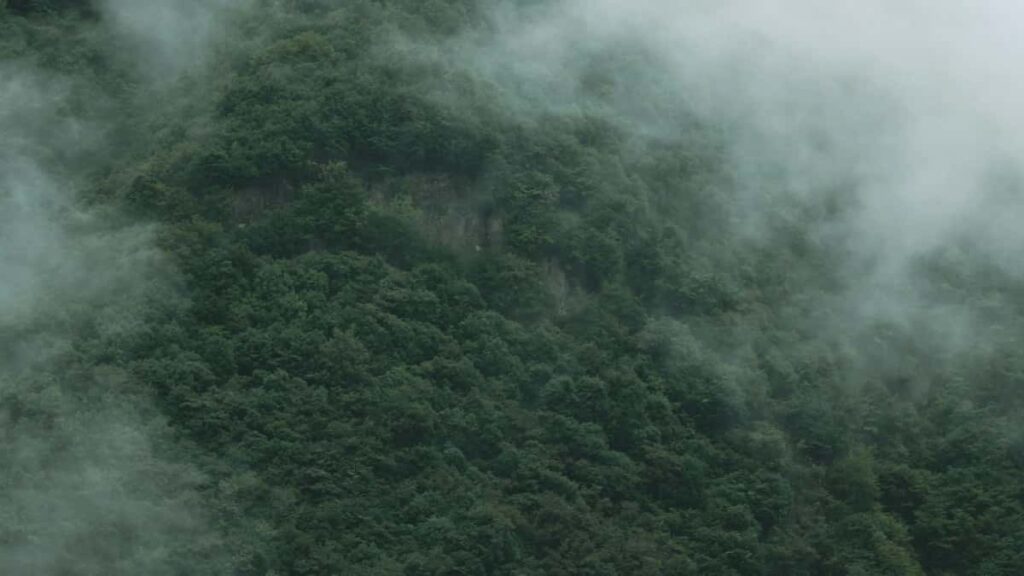 Guia practica para anunciantes en Colombia sobre como localizar y activar creadores de Rumble en Azerbaiyan que impulsen ventas en tu tienda online.