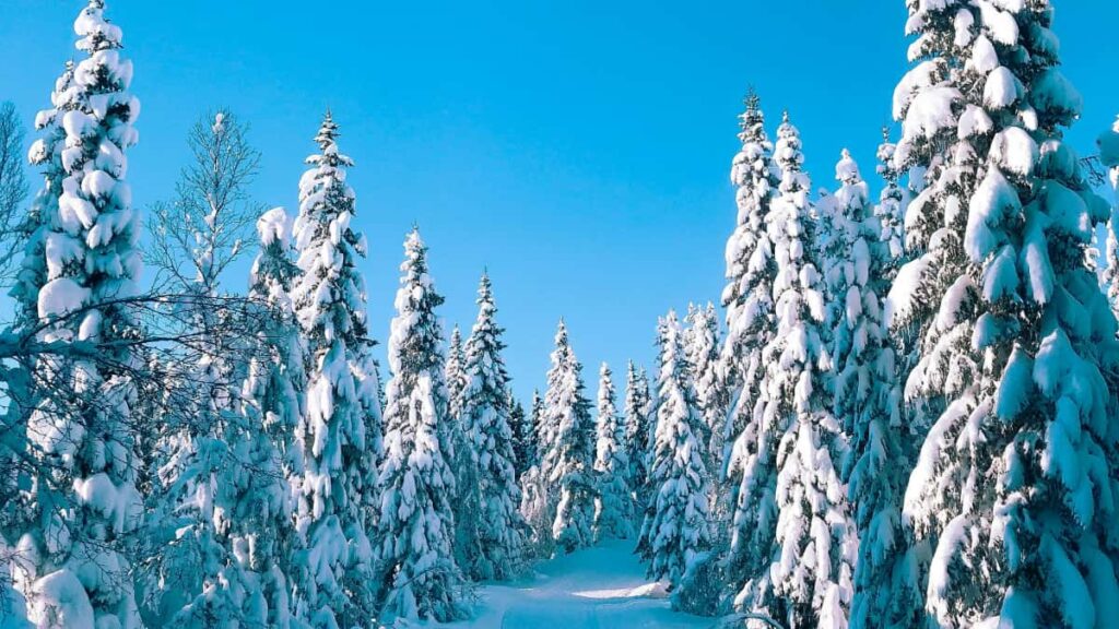 Guia practica para creadores en Colombia: como identificar, contactar y cerrar colaboraciones con marcas de Costa de Marfil via Viber para videos de reaccion de canciones.