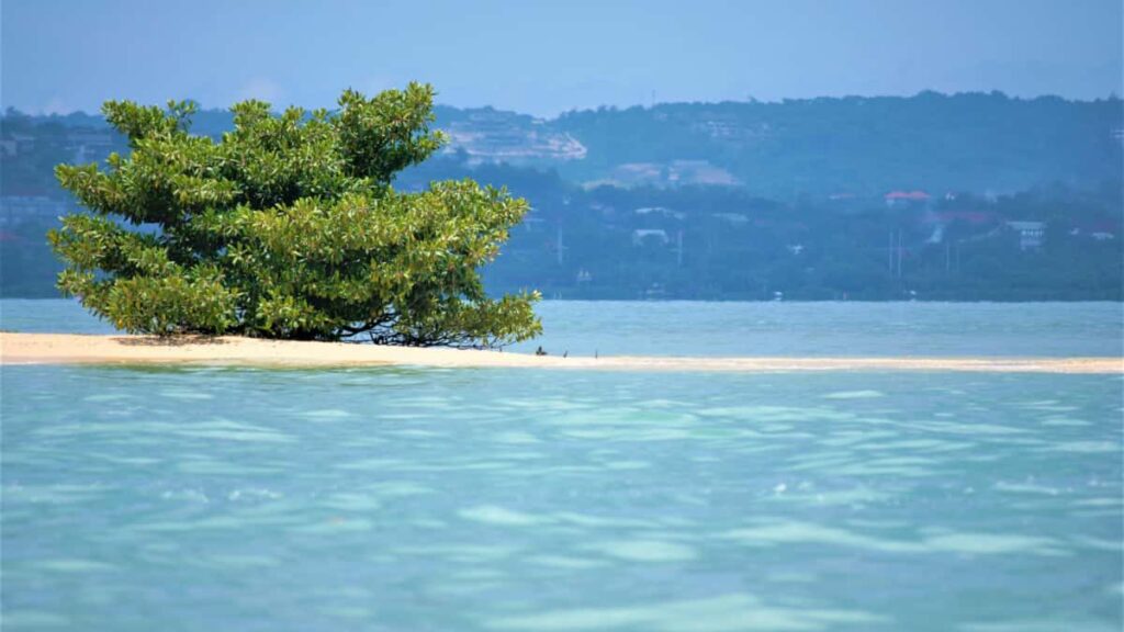 Guia practica para creadores en Colombia que quieren conectar con marcas noruegas en Shopee y participar en campanas de bienestar: pasos, herramientas, ejemplos y plantillas.