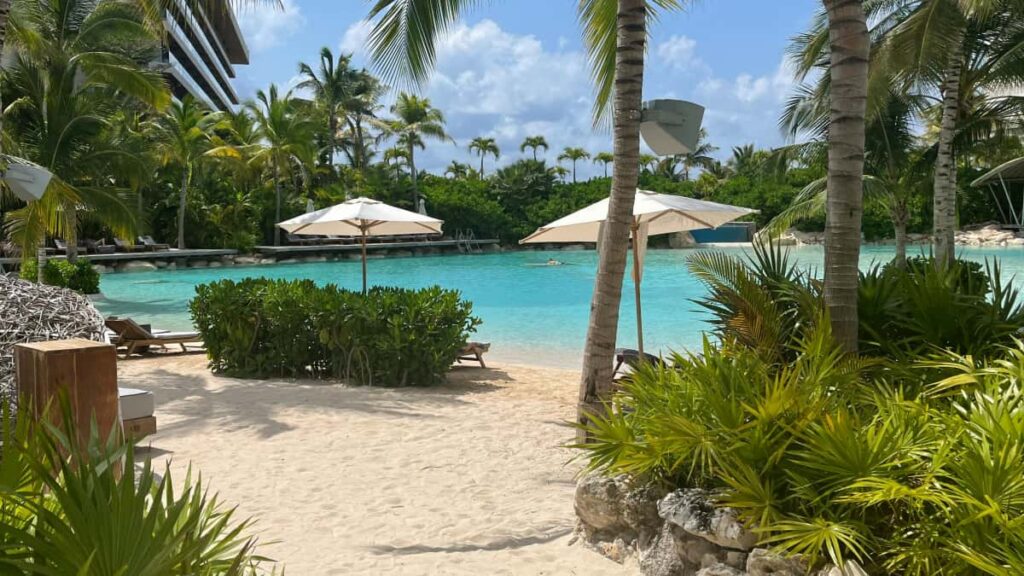 Guia practica para creadores en Colombia que quieren conectar con marcas polacas en Etsy y crear expectativa antes de un lanzamiento.