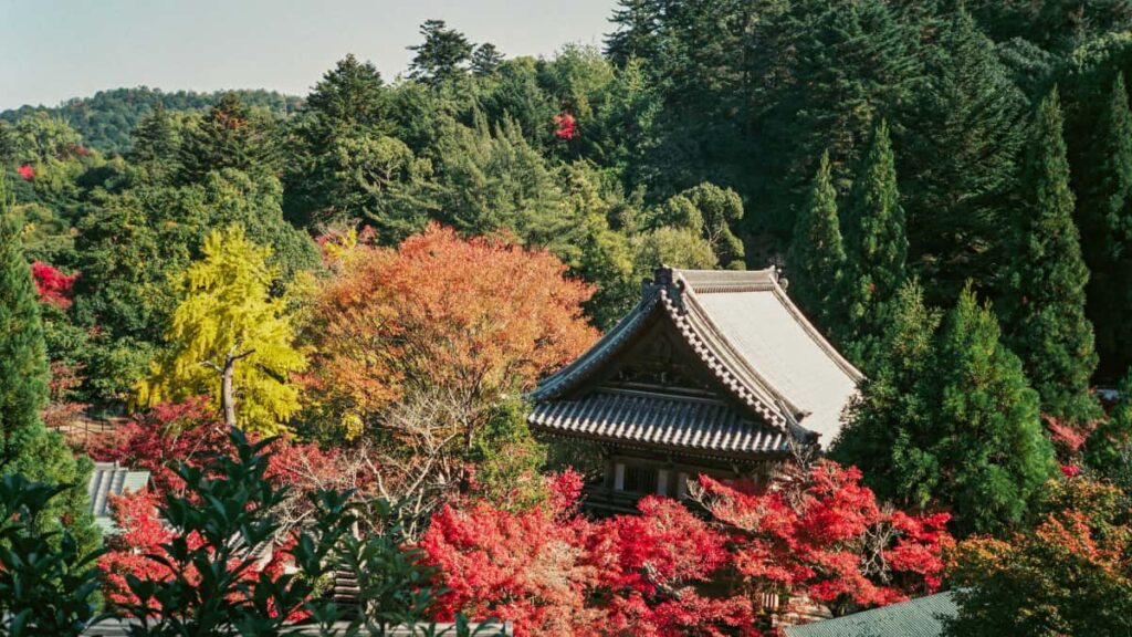 Guia practica para anunciantes en Colombia sobre como localizar y colaborar con creadores en Malta que produzcan contenido sobre Disney+ para lanzar una serie tutorial liderada por creadores.