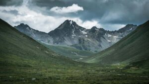 Guia practica para creadores en Colombia que quieren conectar con marcas de Nueva Zelanda en Rumble y difundir codigos de descuento por tiempo limitado.
