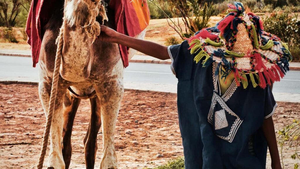 Guia practica para anunciantes en Colombia: como identificar, evaluar y negociar alianzas duraderas con creadores mid-tier de Twitch en Estados Unidos.