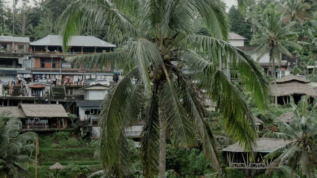 Guia practica para anunciantes en Colombia: como localizar creadores peruanos en Pinterest, evaluar riesgo y convertir pines en videos virales con tacticas comprobadas.