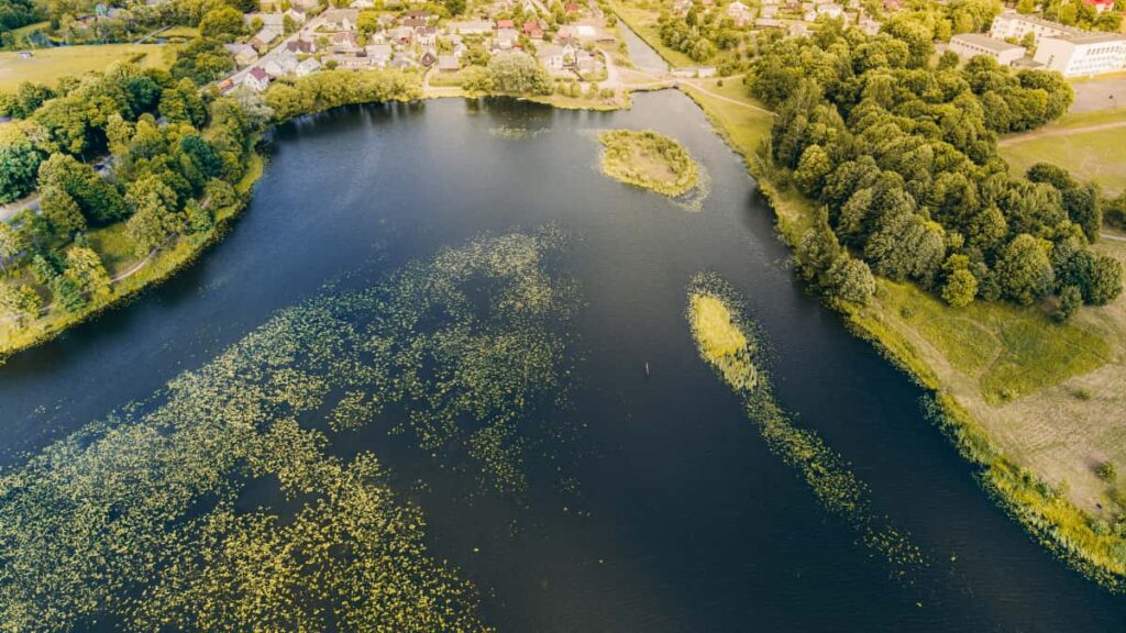 Guia practica para marcas colombianas: como localizar y colaborar con creators eslovacos en KakaoTalk para aumentar visibilidad de clean beauty.