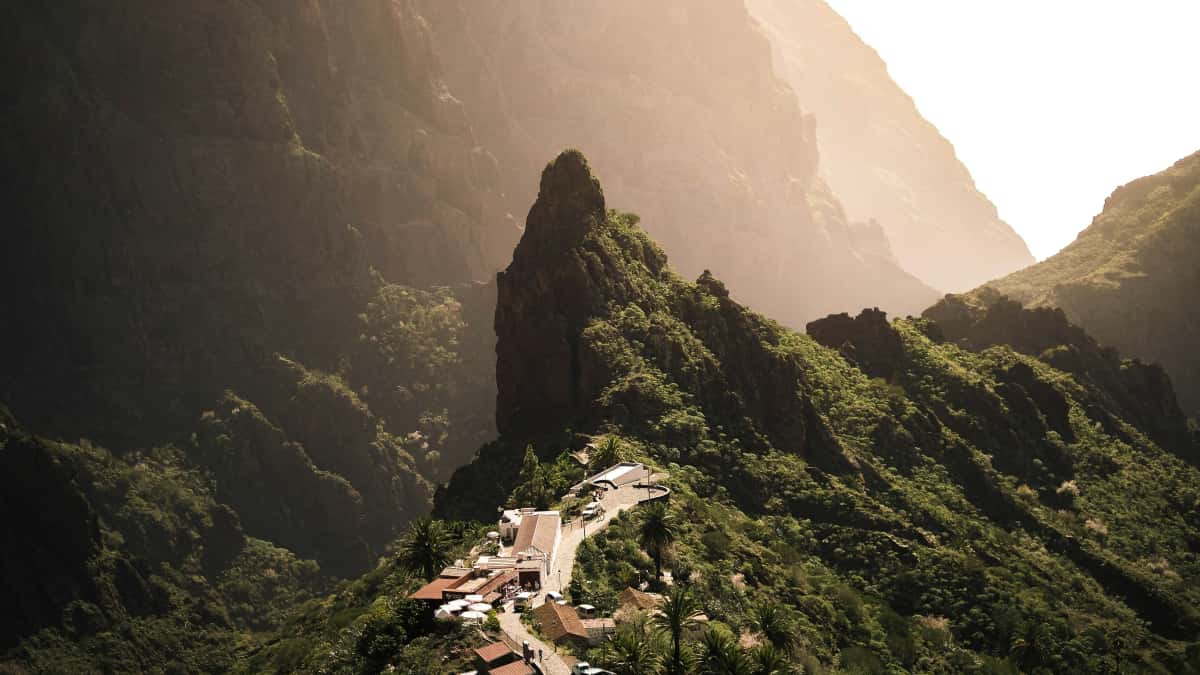 Creadores en Colombia: Cómo contactar marcas eslovenas en LinkedIn y cerrar campañas wellness