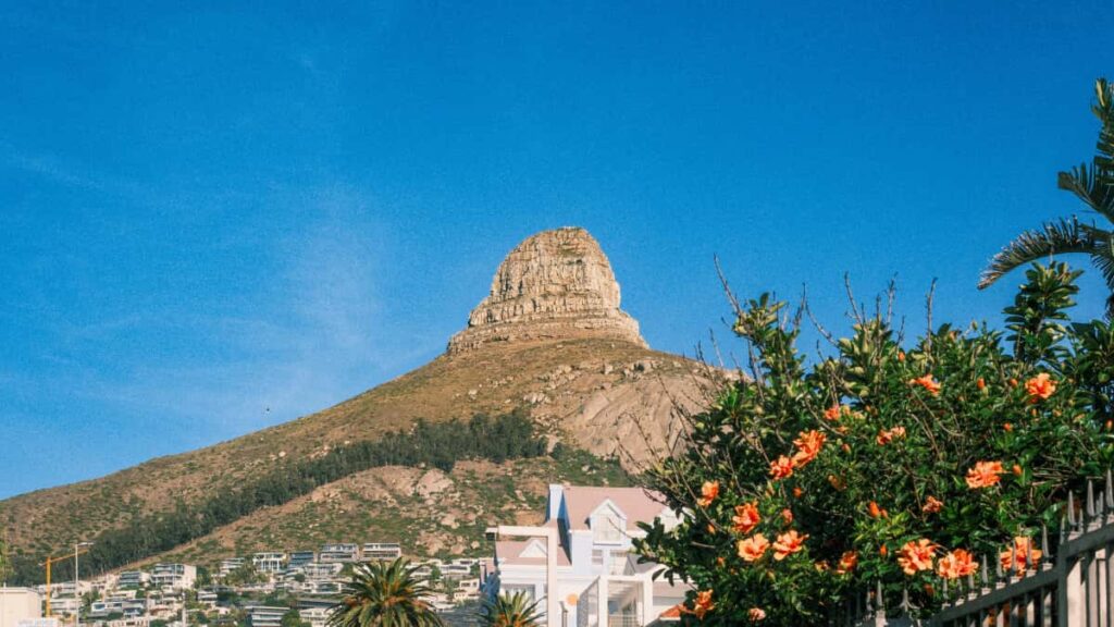 Guia practica para anunciantes en Colombia que quieren identificar y colaborar con creadores rusos en Bilibili usando microinfluencers, VPNs y tacticas locales.