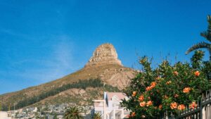 Guia practica para anunciantes en Colombia que quieren identificar y colaborar con creadores rusos en Bilibili usando microinfluencers, VPNs y tacticas locales.