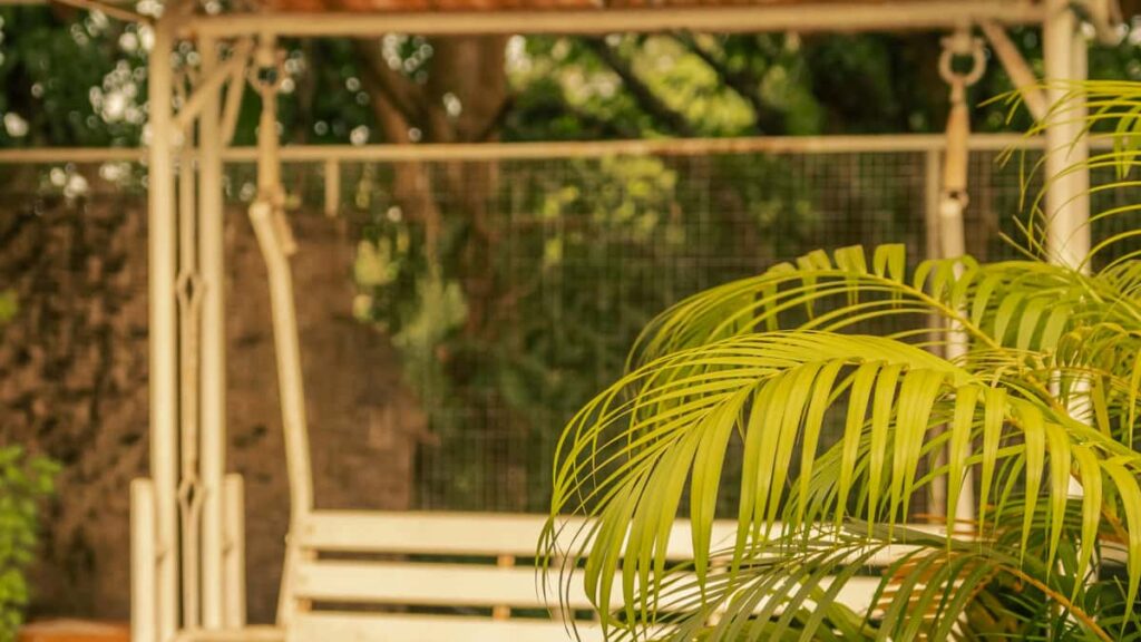 Guia practica para creadores en Colombia sobre como acercarse a marcas nigerianas via WeChat y producir unboxings que funcionan en ambos mercados.