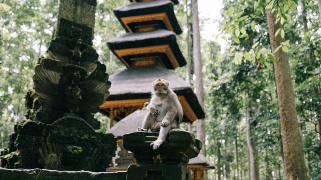 Guia practica desde Colombia para localizar creadores de Roposo en Luxemburgo y lanzar colaboraciones en retos de baile con impacto cultural y medible.