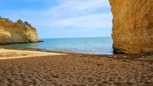 Guia practica para creadores en Colombia que quieren trabajar con marcas danesas usando Zalo: outreach, product seeding, riesgos y formatos que venden.