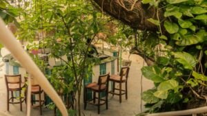 Guia practica para anunciantes en Colombia que buscan creadoras y creadores en Cyprus vinculados a Amazon para promocionar rutinas de bienestar con transparencia y resultados.