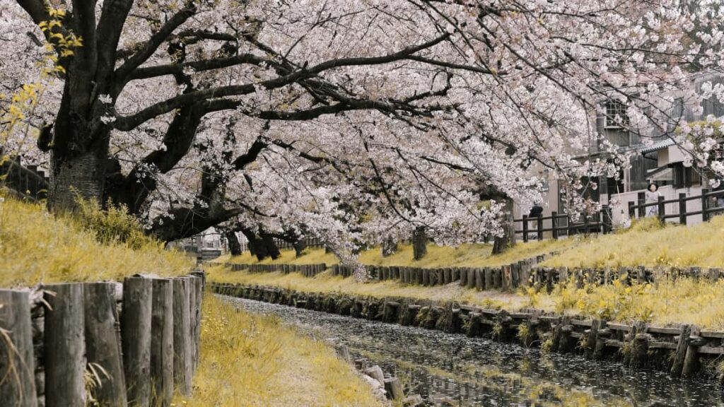 Guia practica para anunciantes colombianos que quieren localizar creadores de Facebook en Bahrain y lanzar marketing de afiliados con influencers.