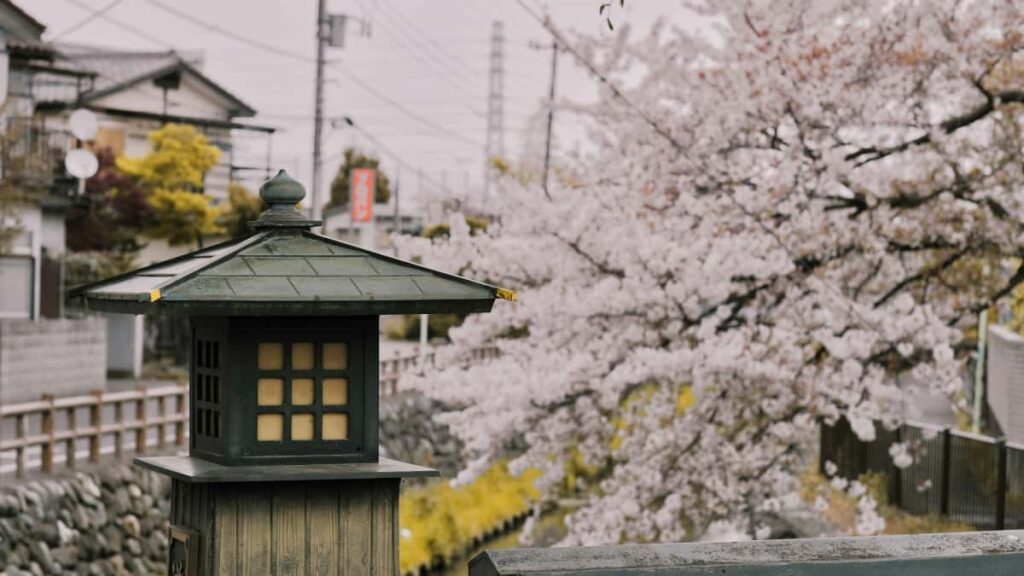 Guia practica para marcas en Colombia: donde y como encontrar creadores Ethiopia en Josh para colaborar en vlogs de eventos reales, con tacticas de seleccion, outreach y produccion.