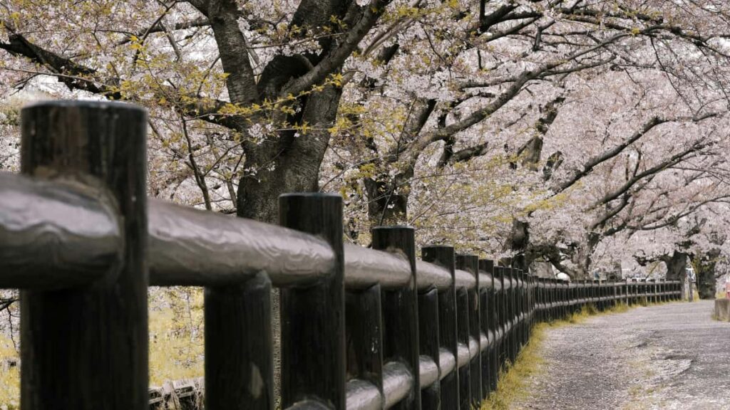 Guia practica para anunciantes en Colombia: como identificar, evaluar y colaborar con creadores saudies en Twitch para integrar mensajes de marca en livestreams.