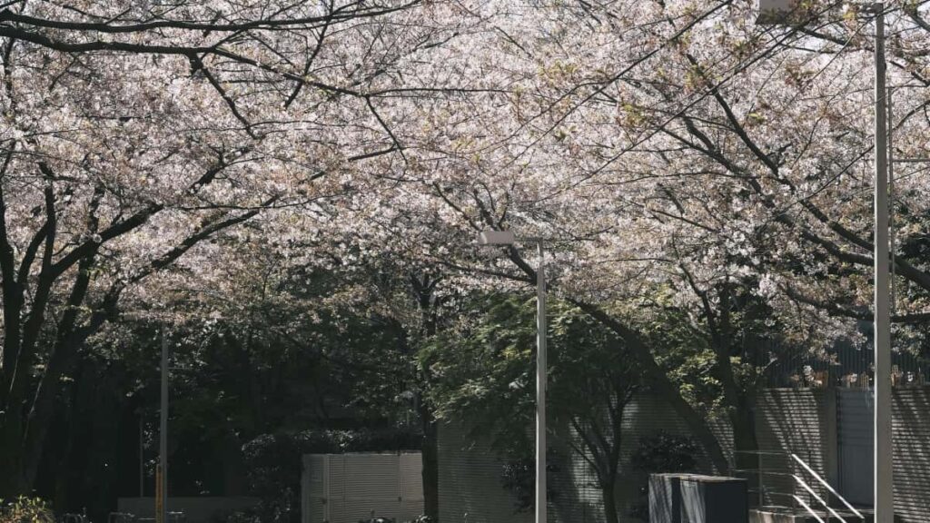 Guia practica para marcas en Colombia que buscan identificar y formar alianzas largas con creadores de contenido relacionados con Netflix en Qatar, con tacticas, herramientas y plantilla de evaluacion.