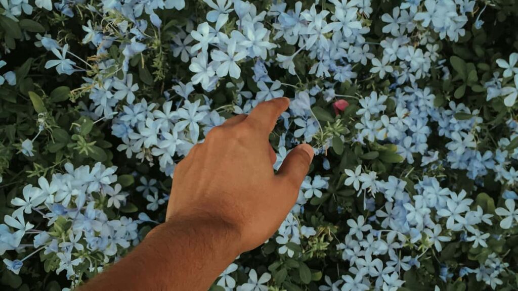 Guia practica para creadores en Colombia que quieren conectar con marcas argentinas en vkontakte y aumentar chances de colaboracion con tacticas locales y ejemplos reales.