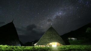 Guia practica para creadores en Colombia sobre como contactar marcas ecuatorianas en TikTok y entrar en betas exclusivas, con tacticas locales y ejemplos reales.