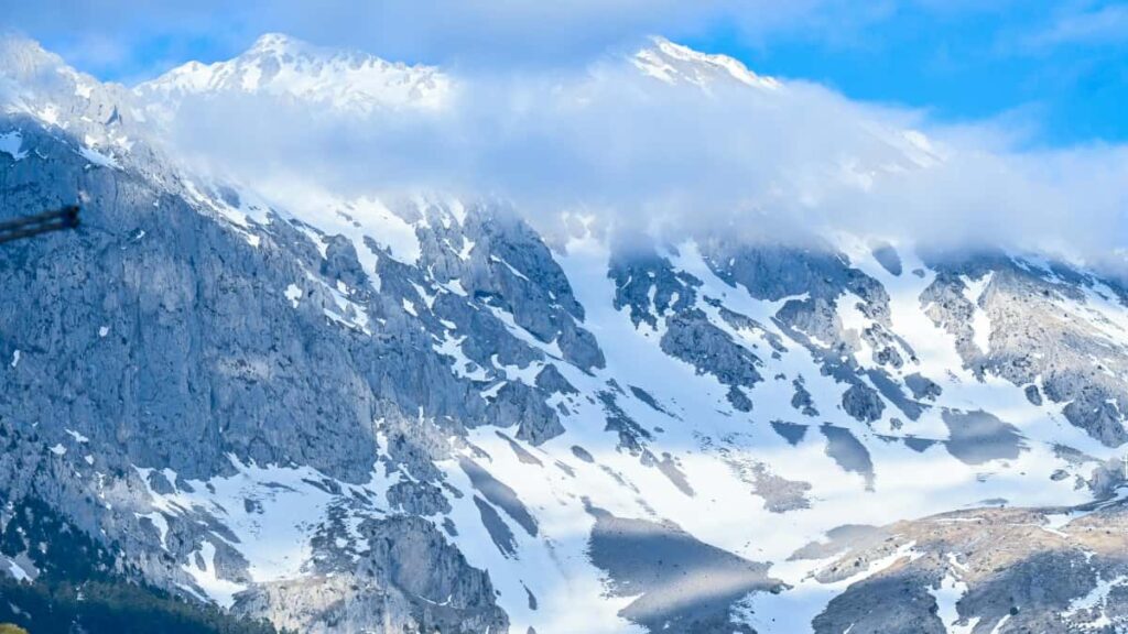 Guia practica para anunciantes en Colombia que buscan colaboradores creativos en Lazada Sri Lanka para campanas de esports y promociones del Lego Botanical Series 2026.